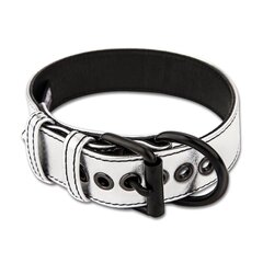 Сріблястий нашийник з повідком Bondage Fetish Metallic Pup Collar With Leash - Фото №1