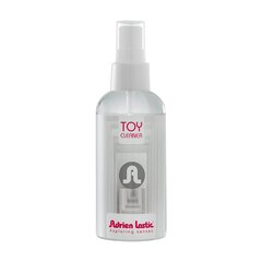 Антибактеріальний засіб Adrien Lastic Toy Cleaner (150 мл) для очищення і дезінфекції іграшок - Фото №1